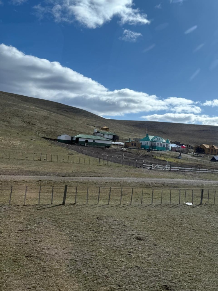 68d333335788d_image_Gale_20250923_17_54.jpeg